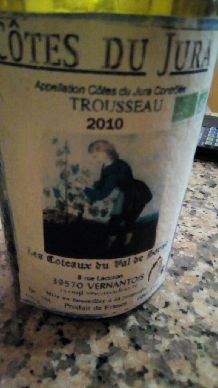 Trousseau - Les Coteaux du Val de Sorne - jean-francois-ryon 