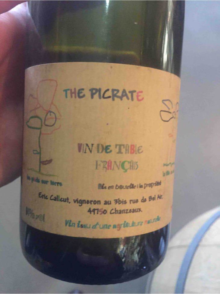 Le Clos Du Giron - The Picrate - eric-calcutt 