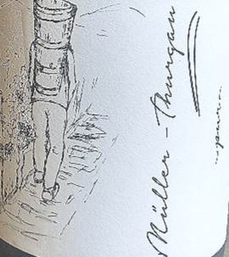 Müller Thurgau - Brand Bros - Weingut Brand - daniel-jonas-brand 