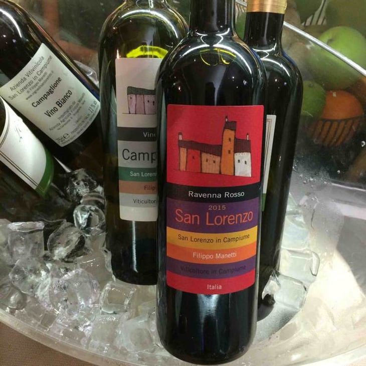 San Lorenzo - Vigne di San Lorenzo - filippo-manetti 