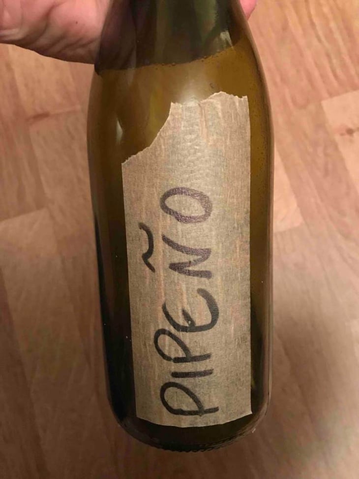 Pipeño - Domaine Mosse - sylvestre-joseph-mosse 