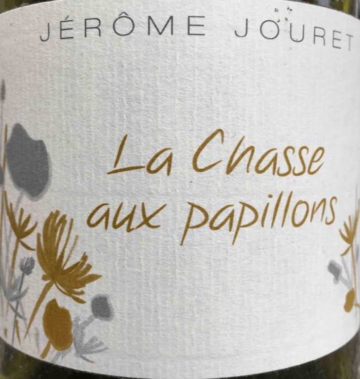 La Chasse Aux Papillons - Jérome Jouret - jerome-jouret 