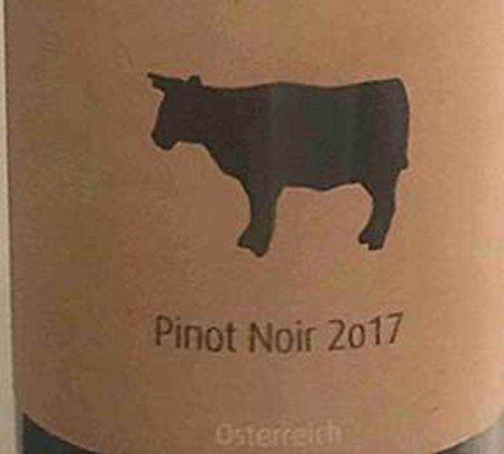 Pinot Noir - Meinklang - Weingut Michlits - angela-werner-michlits 