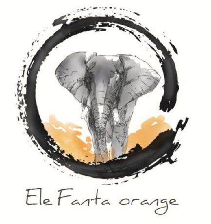 Elefanta Orange - Lindenlaub - christophe-lindenlaub 