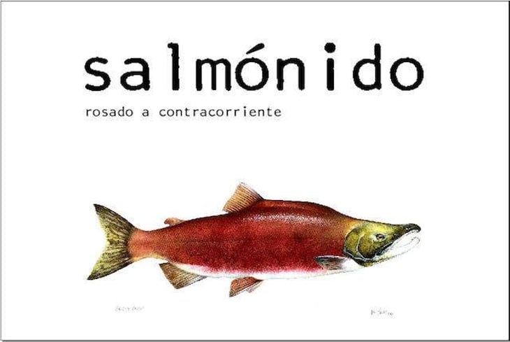 Salmónido - Barranco Oscuro - manuel-lorenzo-valenzuela 