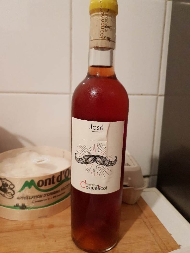 José - Domaine Coquelicot - gregoire-rousseau 