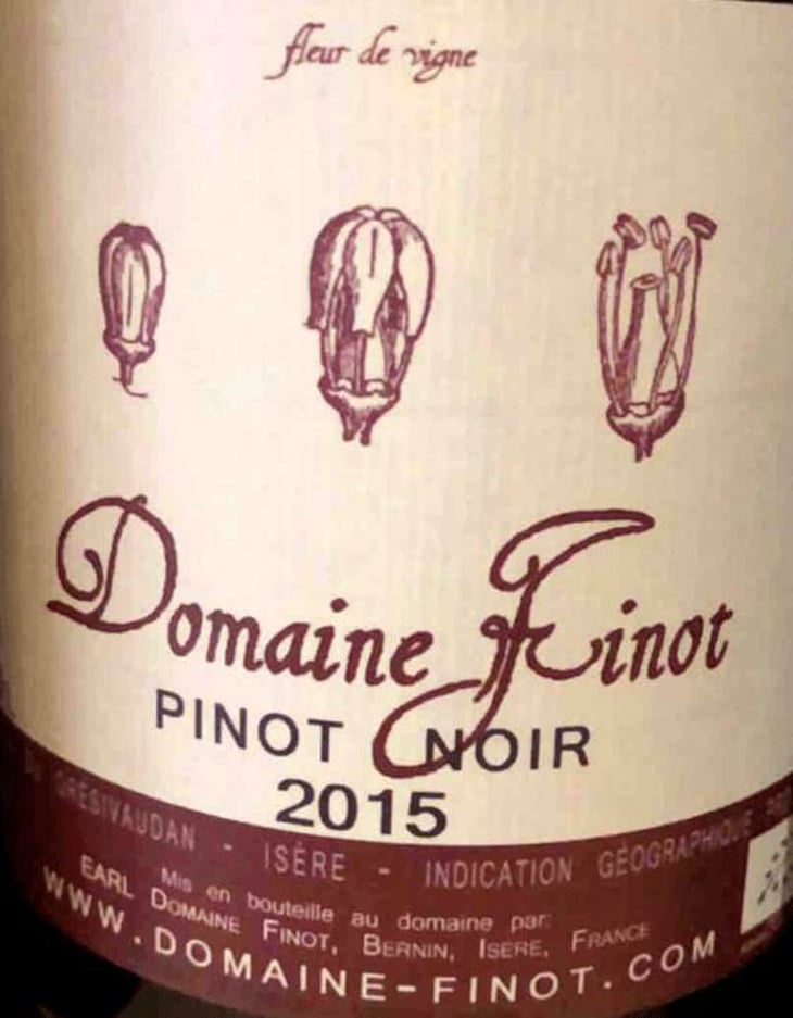 Pinot Noir - Domaine Finot - thomas-finot 