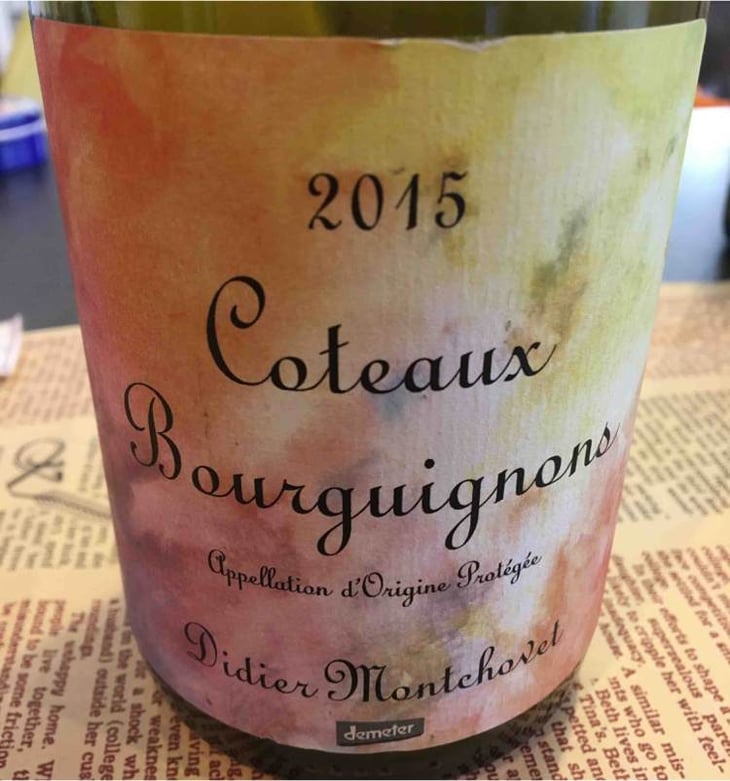 Coteaux Bourguignons - Domaine Montchovet - didier-montchovet 