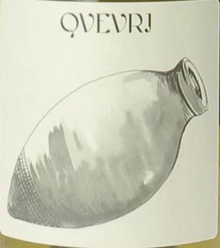 Qvevri Sauvignon - Clos du Tue-Bœuf - zoe-louise-thierry-puzelat 