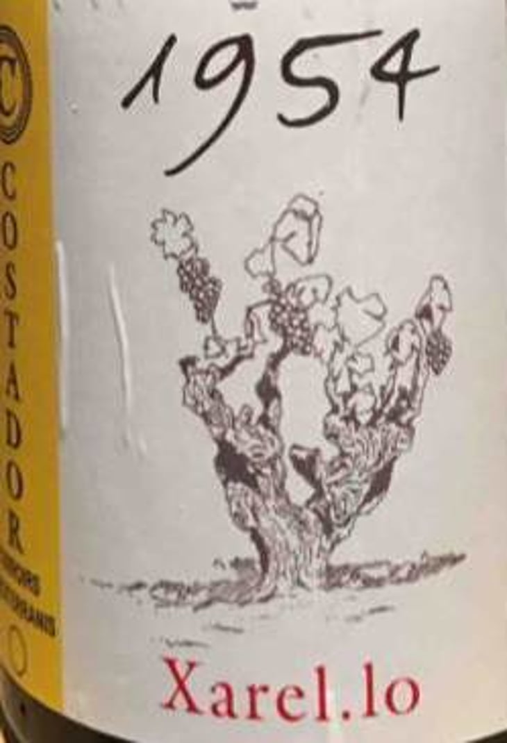 1954 Xarel.lo - Costador Terroirs Mediterranis - joan-franquet 