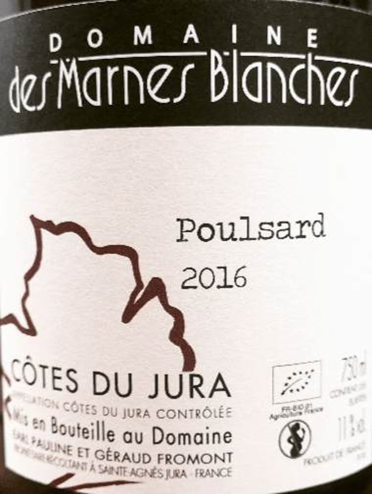 Poulsard - Domaine Des Marnes Blanches - pauline-geraud-fromont 