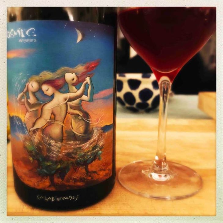 Encarinyades - Còsmic Vinyaters - salvador-batlle-barrabeig 