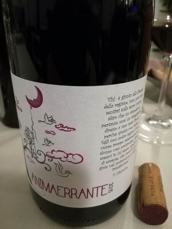 AnimaErrante - Azienda Agricola Di Cato - mariapaola-di-cato 