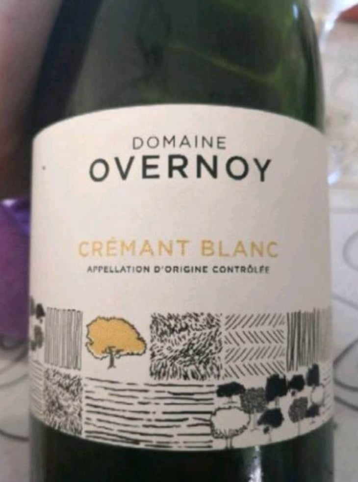 Cremant Blanc - Domaine Overnoy - guillaume-overnoy -2020