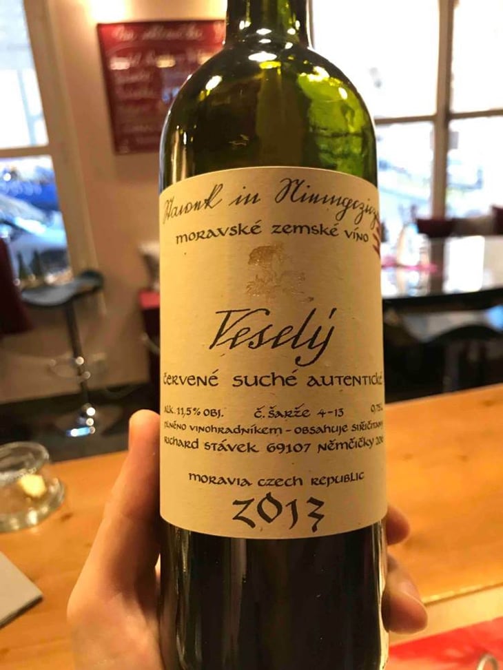 Veselý - Richard Stavek - richard-stavek 