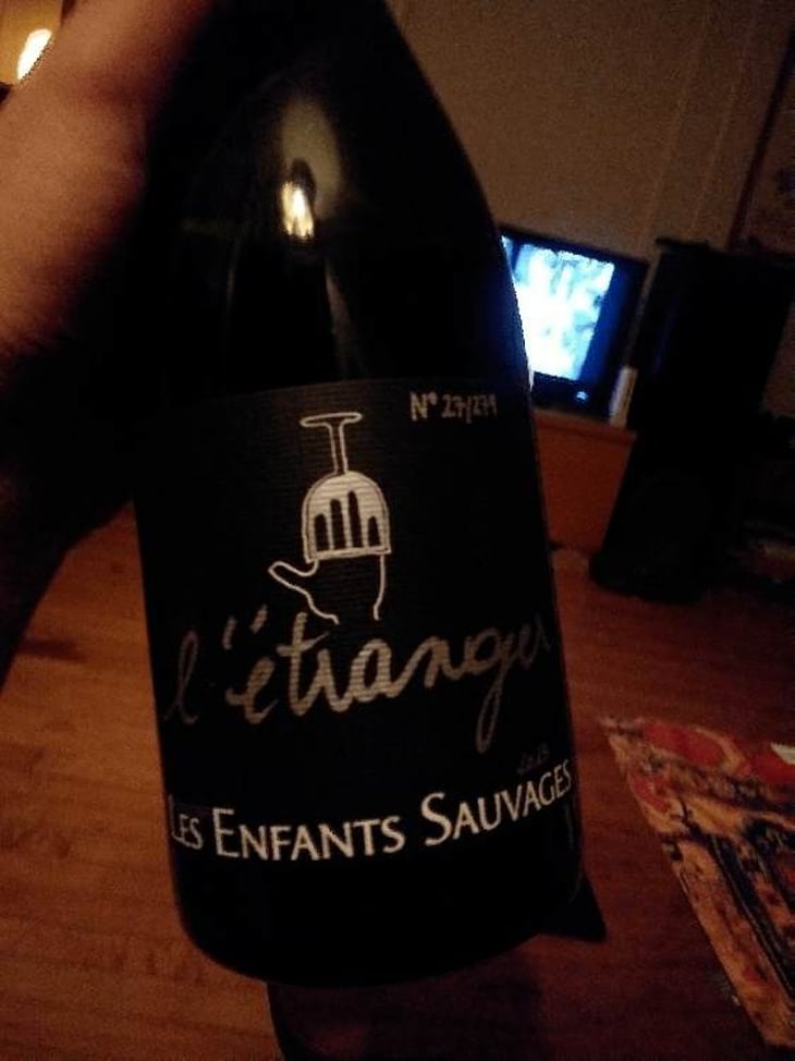 L'Étranger - Les Enfants Sauvages - nikolaus-caroline-bantlin 