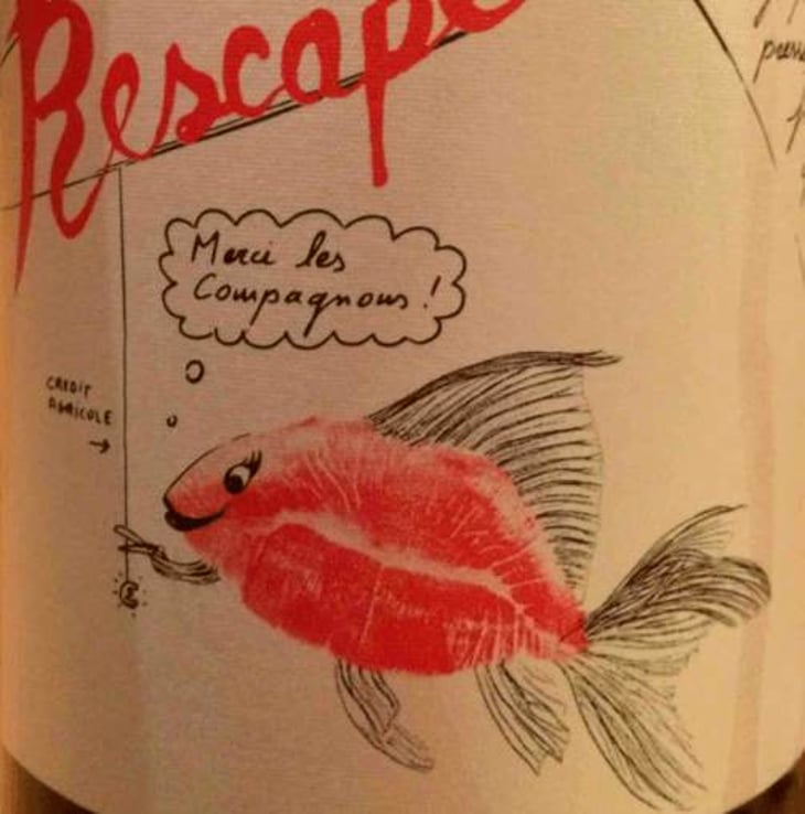 Poisson Rescapé - Domaine de Clairac/Domaine d'O - deborah-olivier-knowland 
