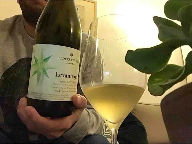 Levante 90 - Podere Cipolla - denny-bini 