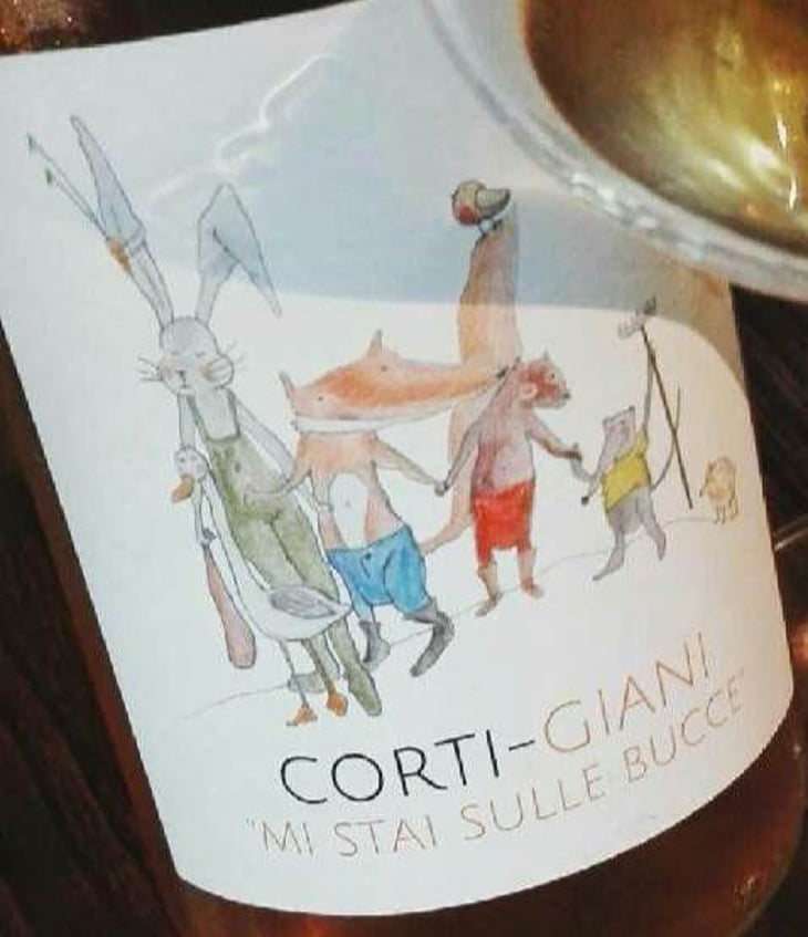 Corti-Giani - Castello di Stefanago - antonio-giacomo-baruffaldi 