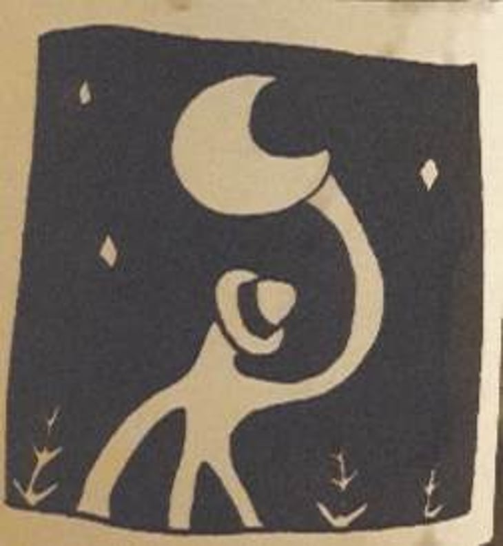 Forest Range Pinot Noir - Gentle Folk Wines - gareth-rainbo-belton 