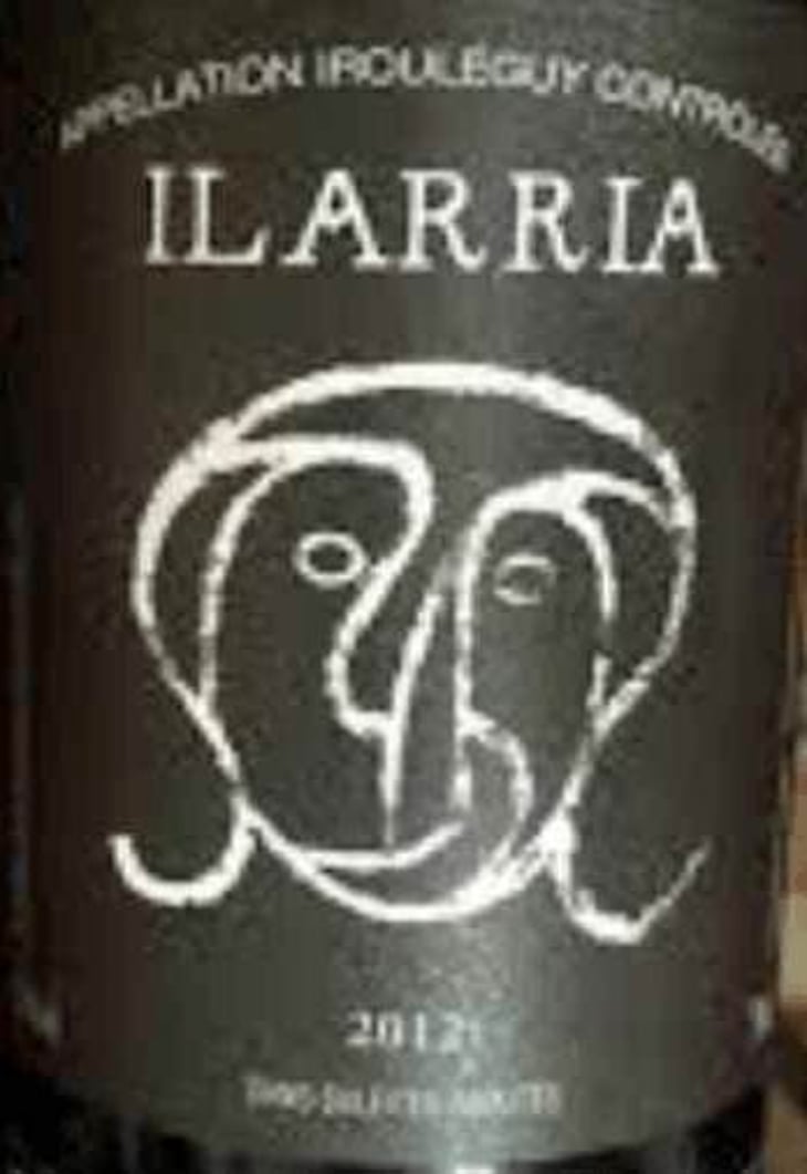 "Sans Soufre" Rouge - Domaine Ilarria - peio-espil 