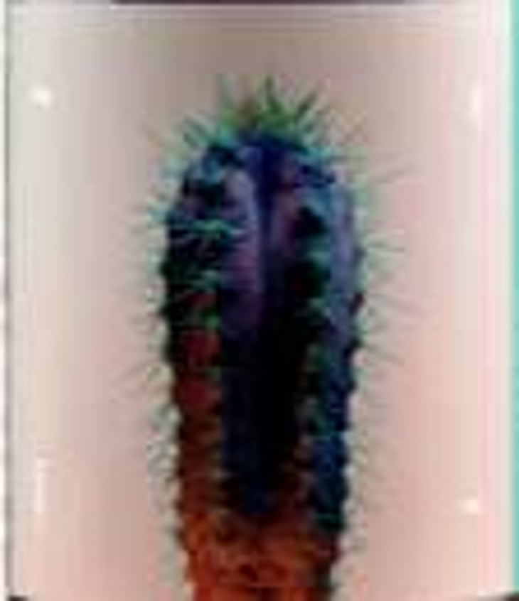 Don’t Pet Nat Me - Do.t.e. - filippo-calabresi 