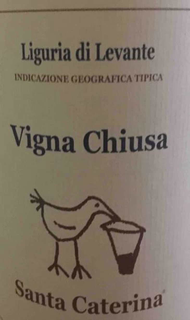Vigna Chiusa - Santa Caterina - andrea-kihlgren 