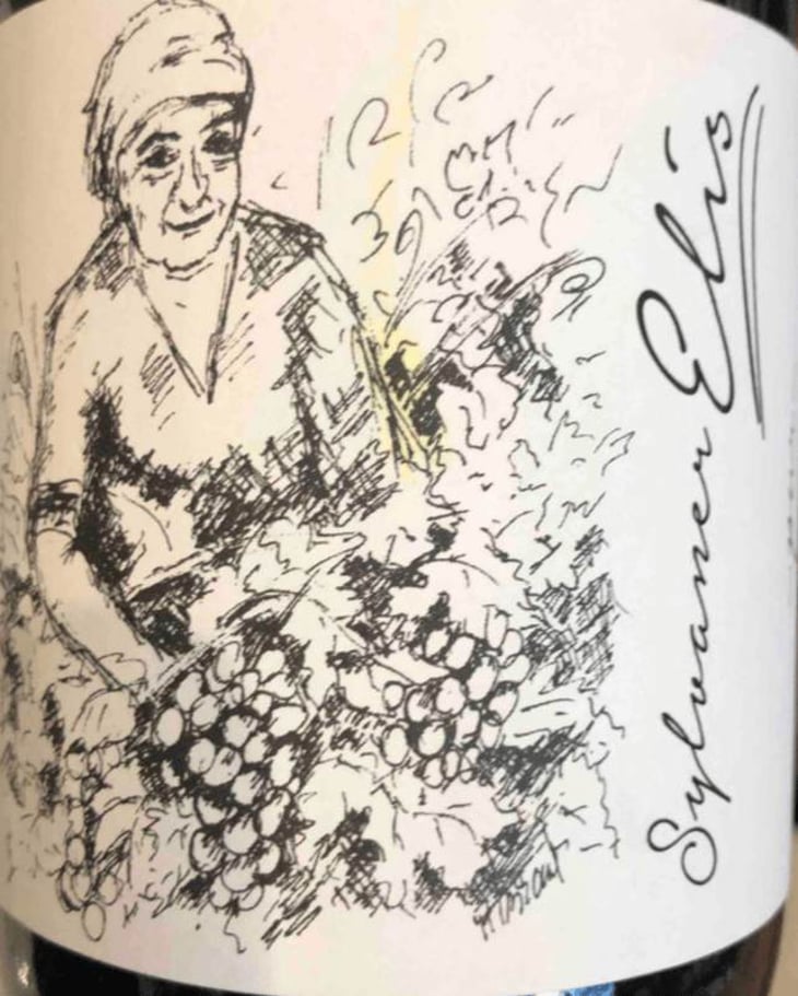 Sylvaner Elis - Brand Bros - Weingut Brand - daniel-jonas-brand 