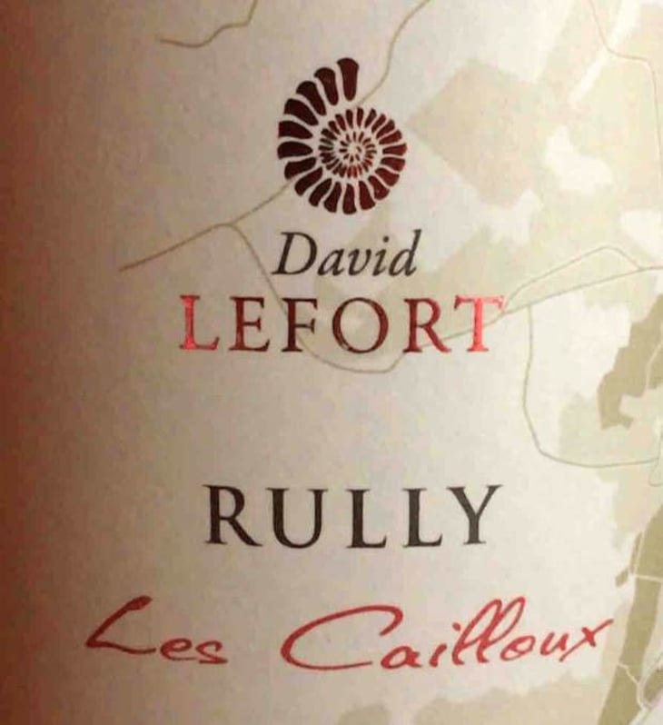 Les Cailloux - David Lefort - david-lefort 