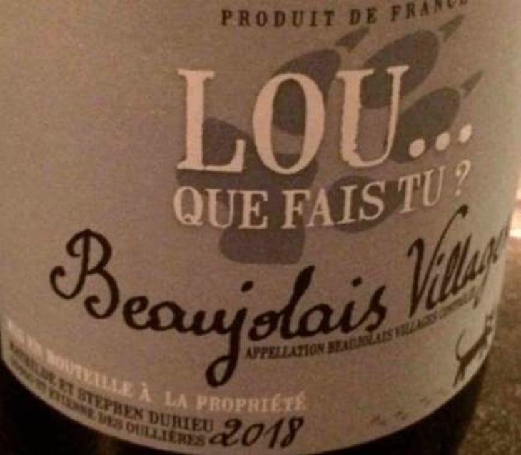 Lou Que Fais Tu - Lou. Y Es-Tu? - mathilde-stephen-durieu 