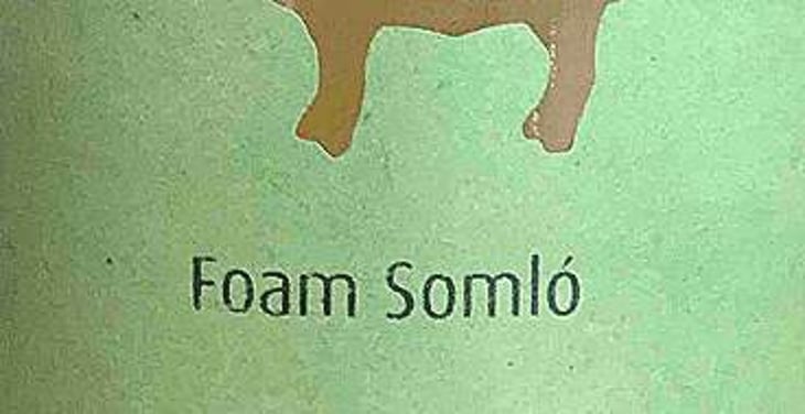 Foam Somló - Meinklang - Weingut Michlits - angela-werner-michlits 