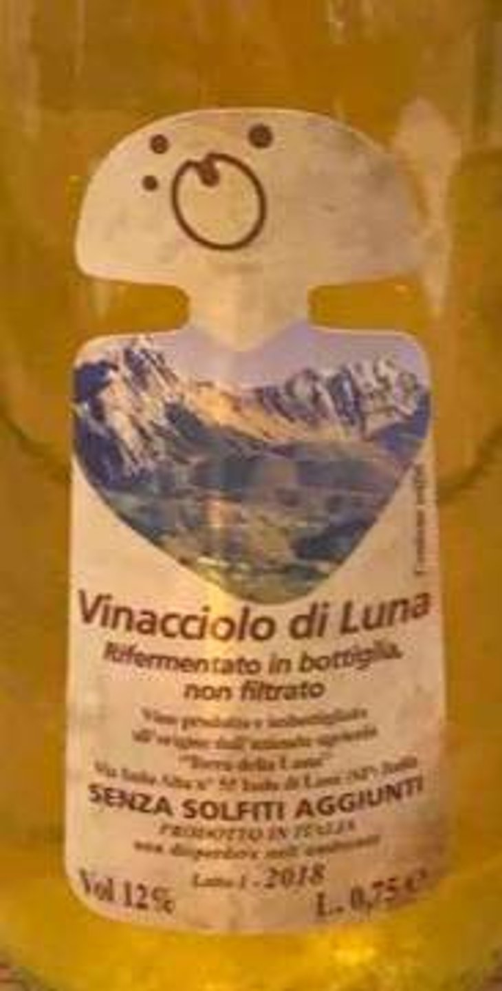 Vinacciolo di Luna - Terra Della Luna - alessandro-vignali 