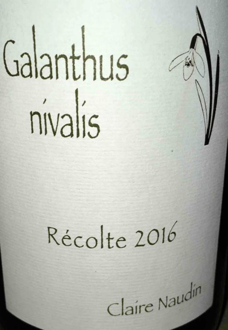 Galathus Nivalis - Domaine Henri Naudin-Ferrand - claire-naudin 