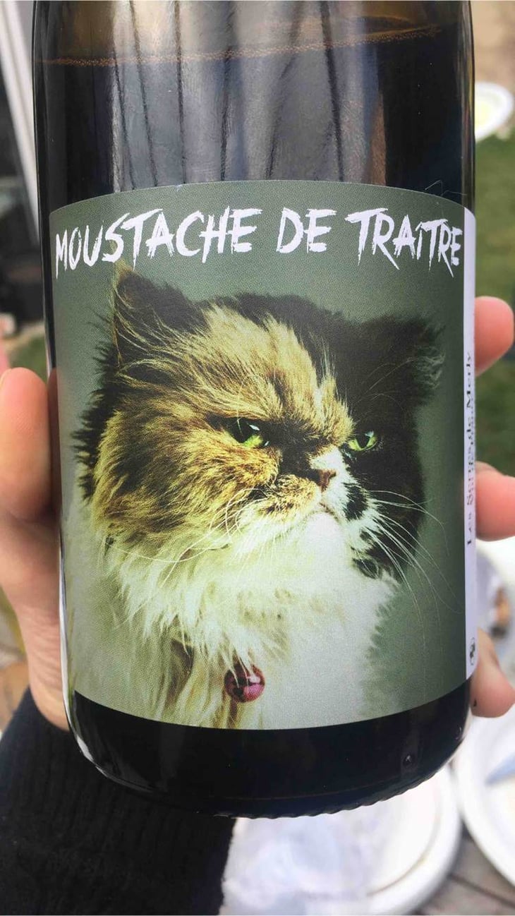 Moustache De Traitre - Domaine Meïgoon - saharnaz-ahangi-et-gauthier-ollivier 
