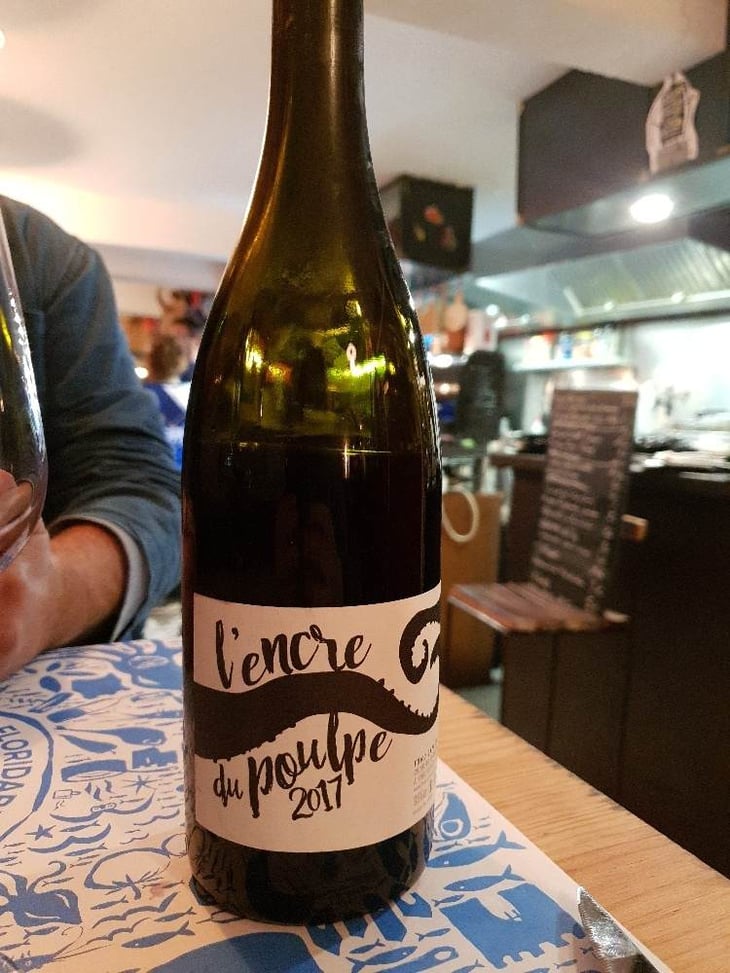 L'Encre Du Poulpe - Fond Cyprès - rodolphe-gianesini-laetitia-ourliac 