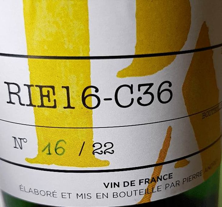 RIE16-C36 - Domaine Pierre Andrey - NO VISIT - pierre-andrey-florence-bouleaux-no-visit 