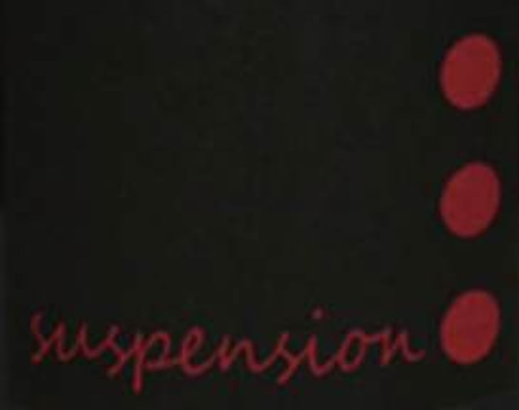 Suspension - La Piffaudiere - olivier-bellanger 