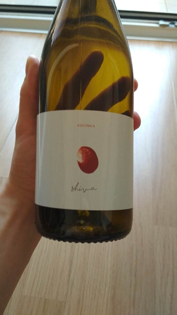 Kocínka, Shiva - Chamber Winery Trojak - Komorní vinařství Trojak - bogdan-trojak 