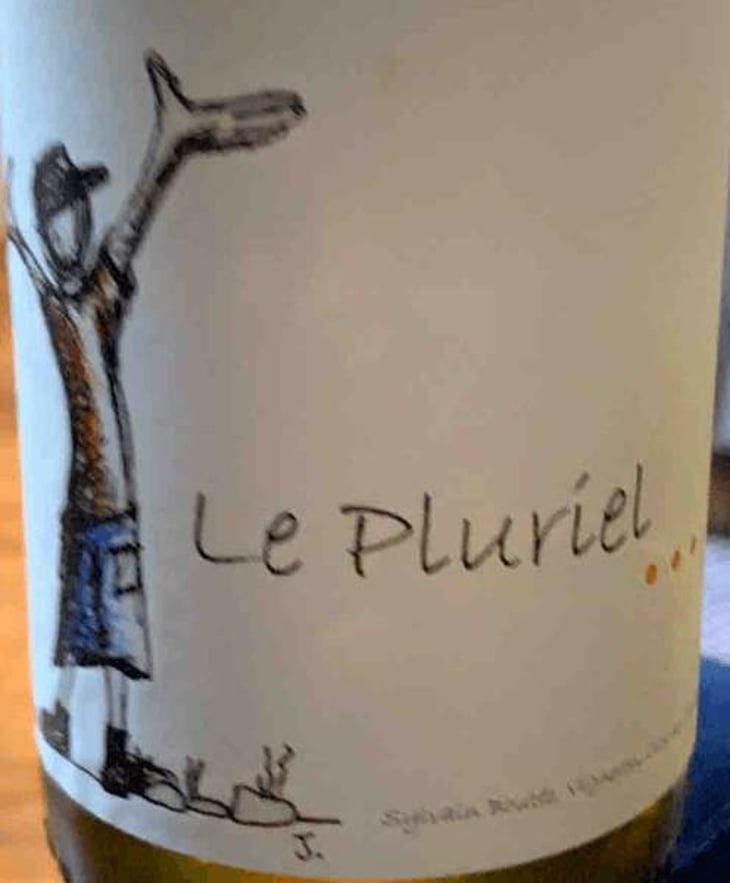 Le Pluriel Blanc - Clos Des Boutes - sylvain-boutee 