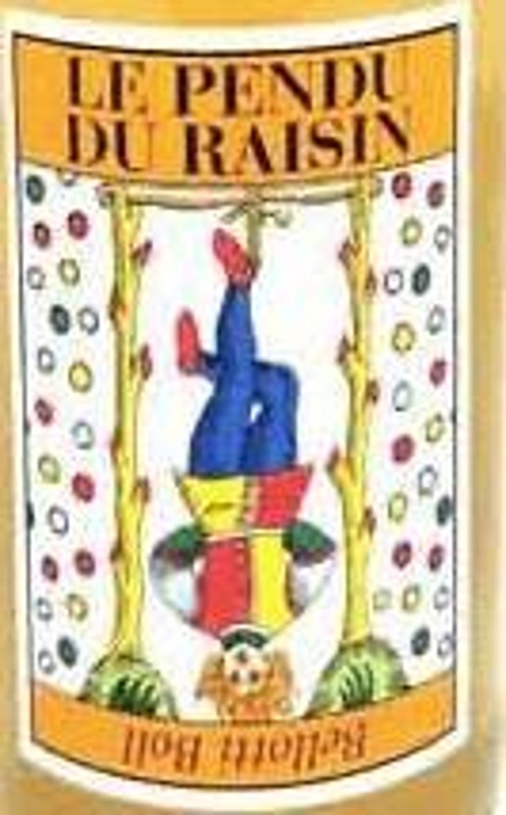 Le Pendu Du Raisin - Cascina degli Ulivi - ilaria-bellotti 