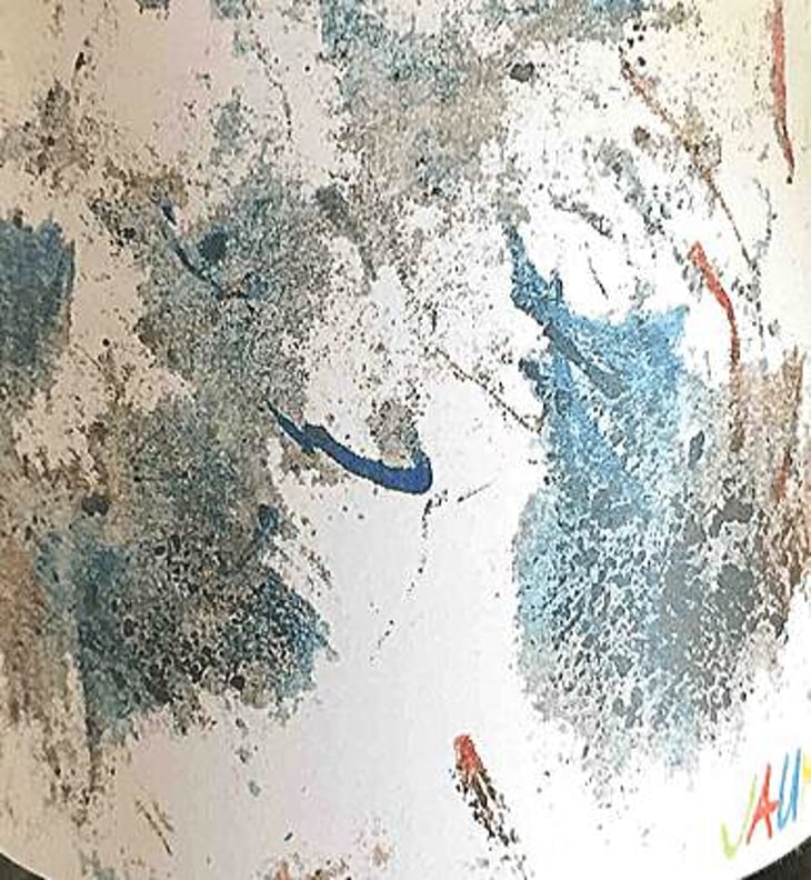 Pet'Nat Chenin - Jauma Wine - denise-james-erskine 