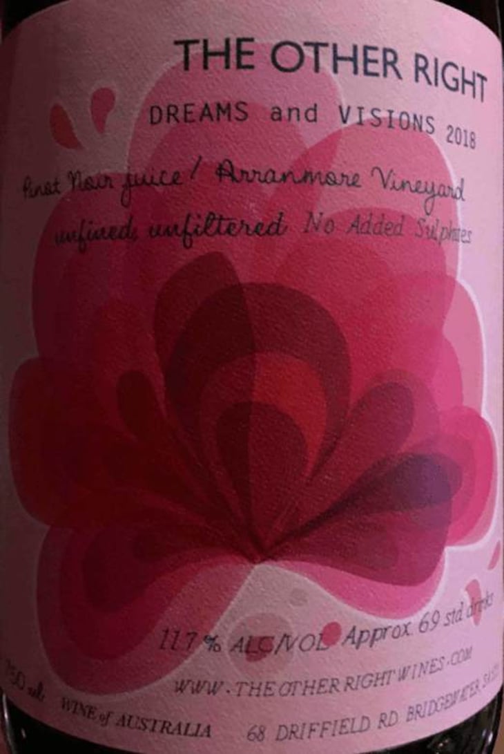 Dreams and Visions - The Other Right - alex-schulkin-galit-shachaf 