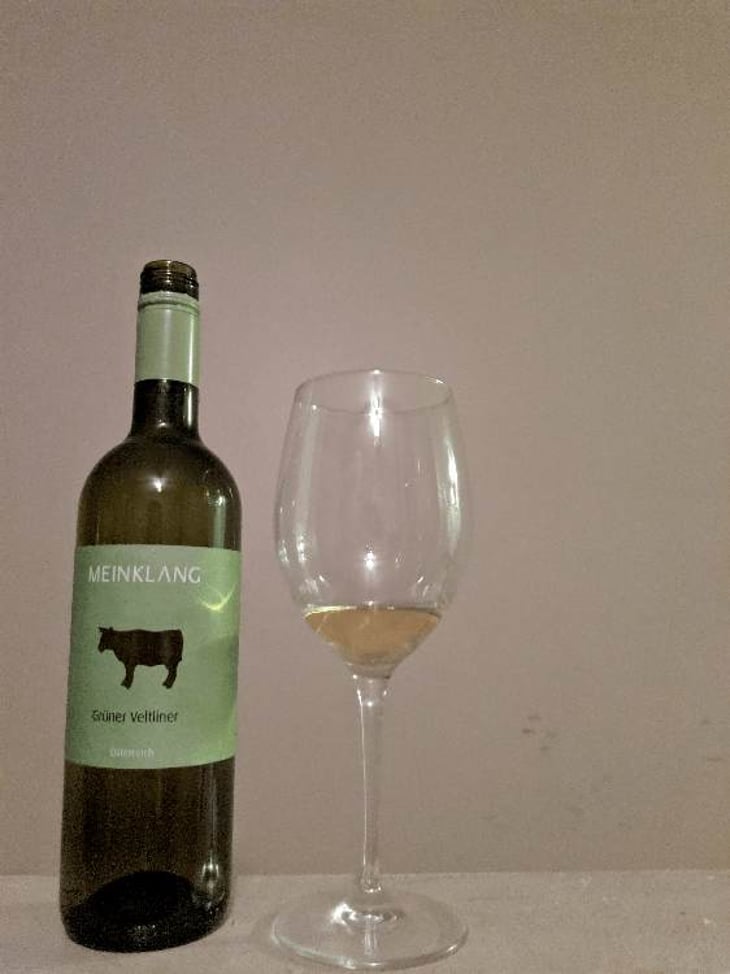 Grüner Veltliner - Meinklang - Weingut Michlits - angela-werner-michlits 