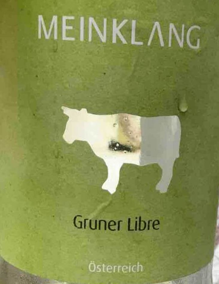 Gruner Libre - Meinklang - Weingut Michlits - angela-werner-michlits 