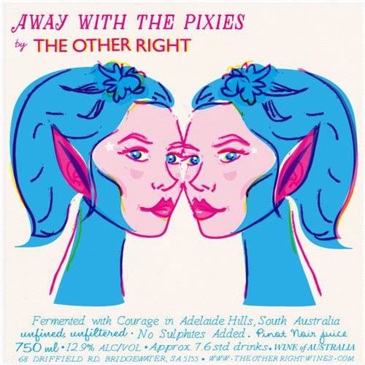 Away with the Pixies - The Other Right - alex-schulkin-galit-shachaf 