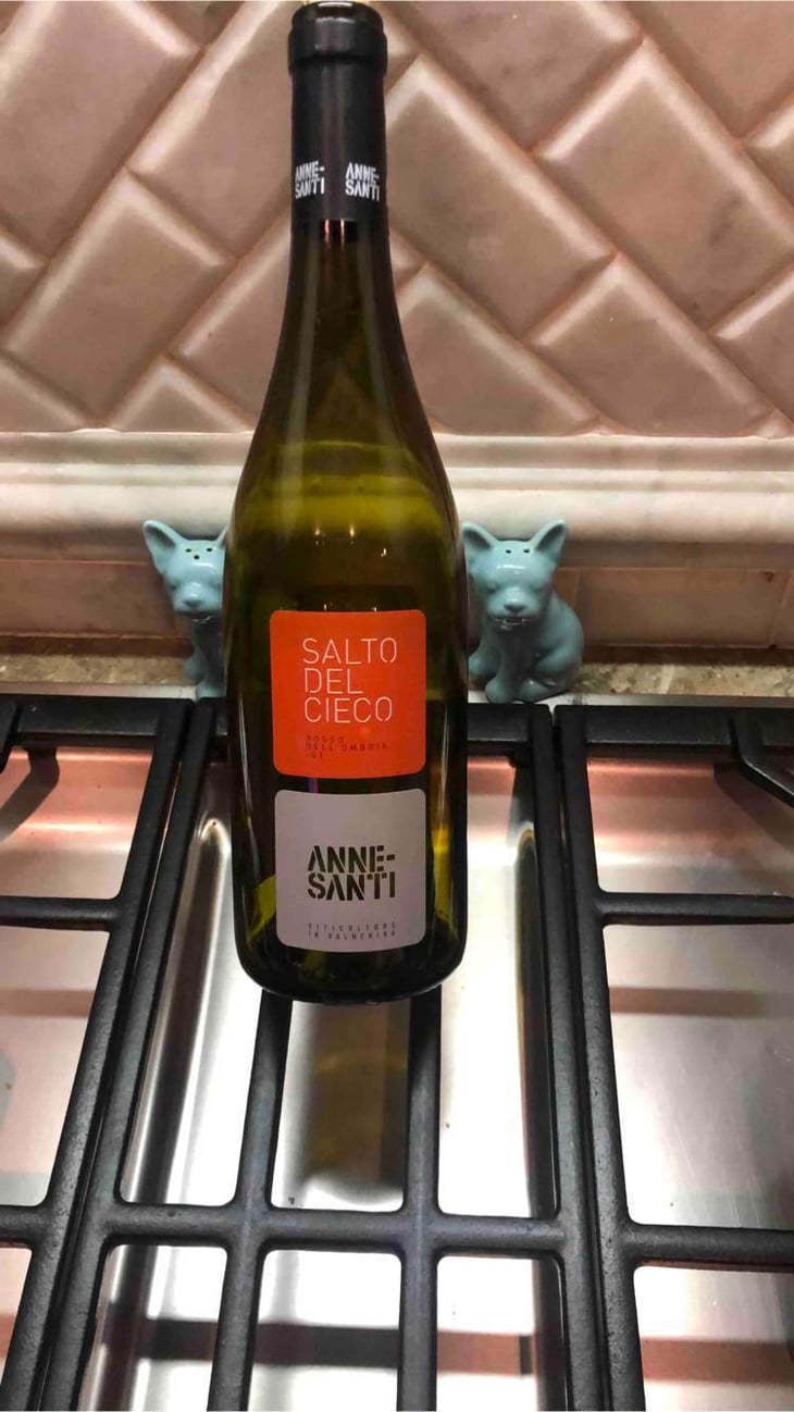 Il Salto Del Cieco - AnneSanti - francesco-annesanti 