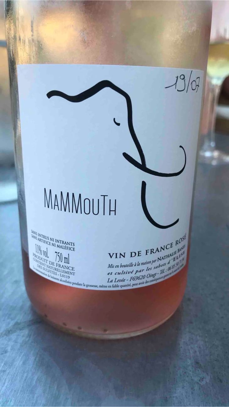 Mammouth - Nathalie Banes - nathalie-banes 