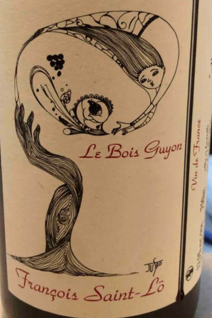 Le Bois Guyon - François Saint-Lô - francois-saint-lo 