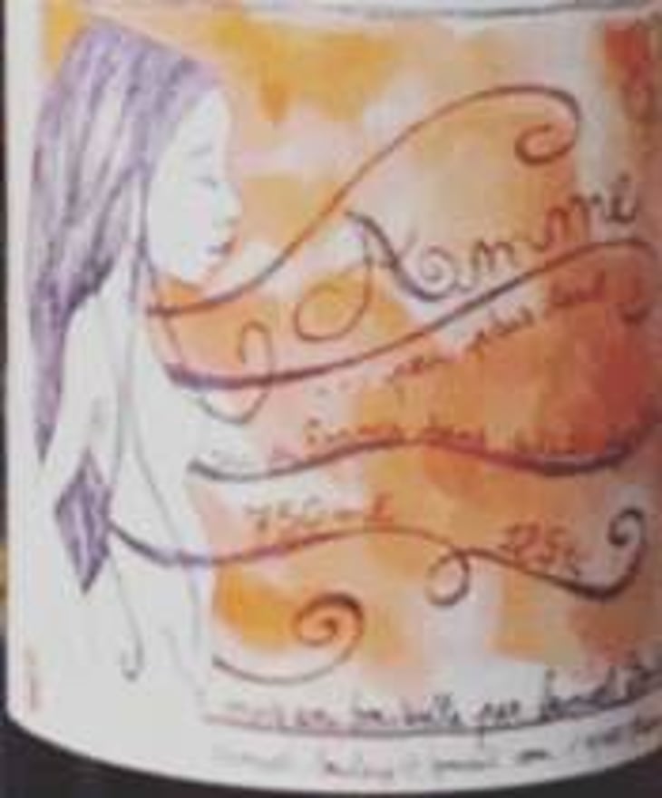 Amme... Peu Plus Tard - Samuel Boulay - samuel-boulay 