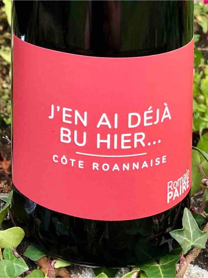 J’en Ai Déjà Bu Hier - Domaine des Pothiers - denise-georges-romain-paire 